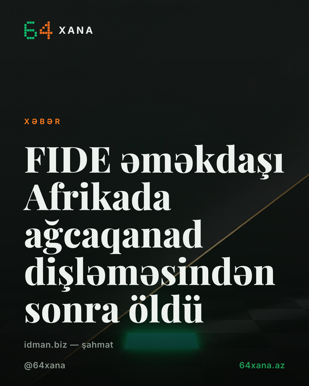 FIDE əməkdaşı Sergey İndeykin Nigeriyada öldi